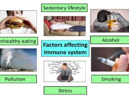 How does lifestyle affects immune system